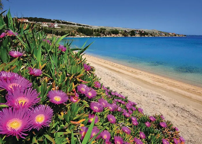 Awesome In Pag With Kitchen Апартаменты Паг