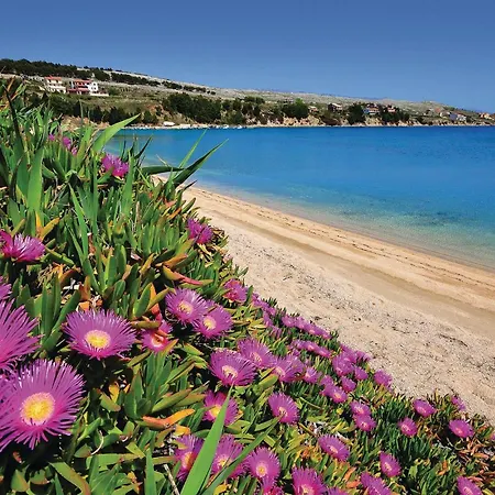 Pet Friendly In Pag With Wifi Apartamento Pag Town